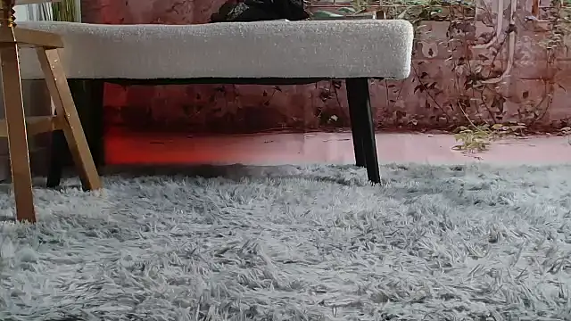 priselvis23 online show from 03/12/25, 06:22