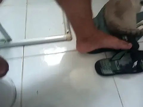 lobomisterioso13 online show from 02/24/26, 11:41