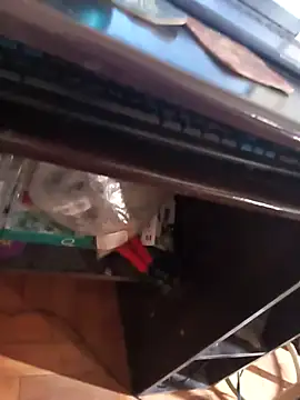 lobomisterioso13 online show from 04/08/26, 02:17