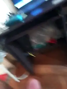 lobomisterioso13 online show from 04/15/26, 04:03