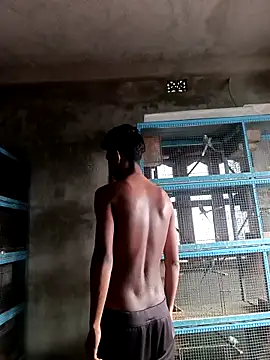 NICK IN online show from 03/01/26, 02:24