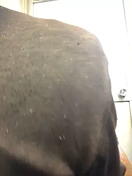 Snapshot of agaupt2 chatting on 12/16/25, 10:48 agaupt2 online show from 12/16/25, 10:48