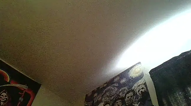 Snapshot of clitstitsandbongrips chatting on 02/13/25, 09:17 clitstitsandbongrips online show from 02/13/25, 09:17