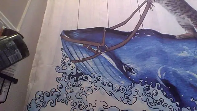 Snapshot of clitstitsandbongrips chatting on 09/16/25, 06:03 clitstitsandbongrips online show from 09/16/25, 06:03