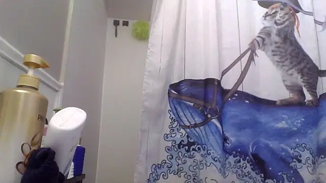 clitstitsandbongrips online show from 11/25/25, 03:17