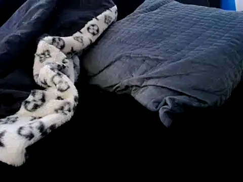 Snapshot of Niquitasparkles chatting on 12/23/24, 12:35 Niquitasparkles online show from 12/23/24, 12:35