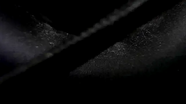 Snapshot of Niquitasparkles chatting on 01/23/25, 10:33 Niquitasparkles online show from 01/23/25, 10:33