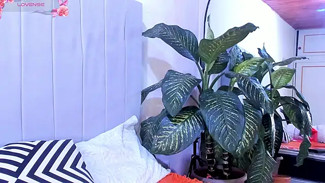 Snapshot of Mindy_sweety chatting on 03/06/25, 07:54 Mindy sweety online show from 03/06/25, 07:54