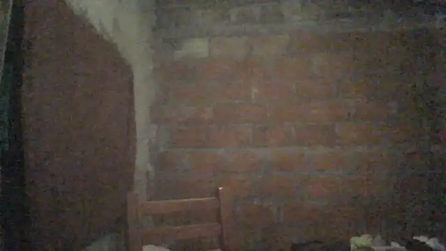 Snapshot of elsaiya chatting on 09/22/25, 12:01 elsaiya online show from 09/22/25, 12:01