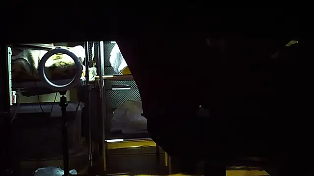 Snapshot of qoooqing67 chatting on 12/15/24, 06:18 qoooqing67 online show from 12/15/24, 06:18