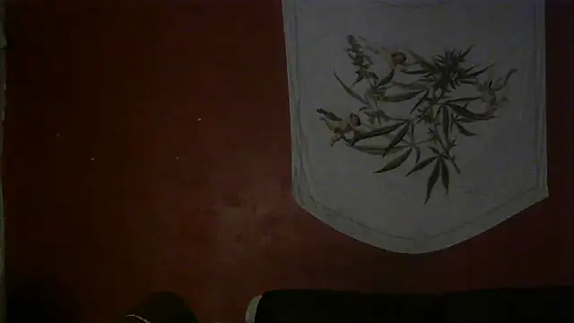 Snapshot of spacegirlll chatting on 03/15/25, 12:47 spacegirlll online show from 03/15/25, 12:47