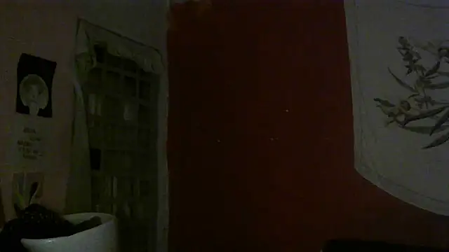 Snapshot of spacegirlll chatting on 03/16/25, 05:03 spacegirlll online show from 03/16/25, 05:03