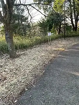 Hideen-real-face online show from 02/18/26, 06:53