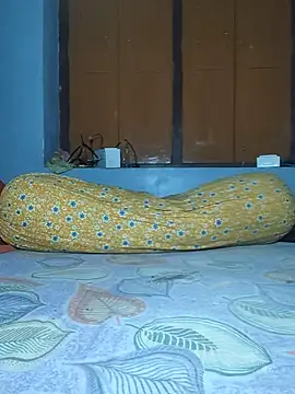 IndianRima online show from 11/25/25, 06:19