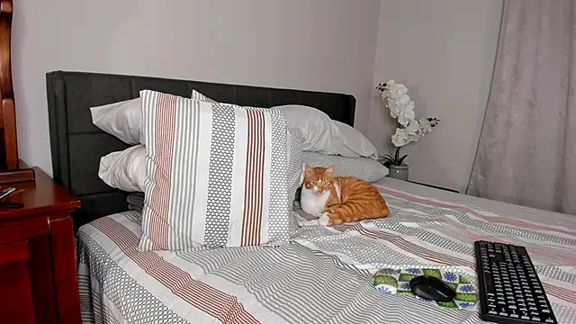 Angel 1997 online show from 02/18/25, 11:30