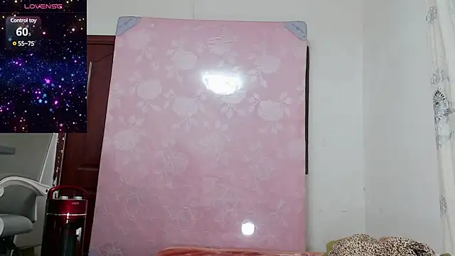 Snapshot of baoer-558 chatting on 12/18/24, 06:46 baoer-558 online show from 12/18/24, 06:46