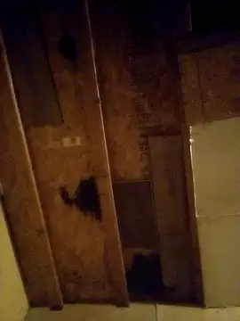 Snapshot of beliqi chatting on 12/15/24, 01:24 beliqi online show from 12/15/24, 01:24