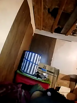 Snapshot of beliqi chatting on 11/15/25, 05:49 beliqi online show from 11/15/25, 05:49