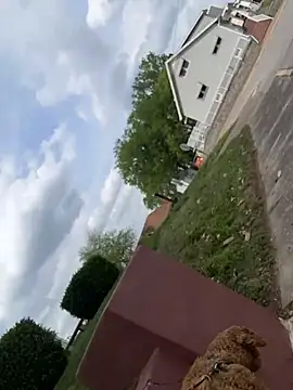 EllaSnow online show from 04/15/26, 08:20