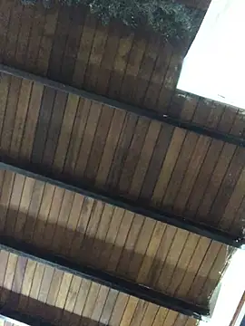 isacalejandroo online show from 01/25/25, 04:02