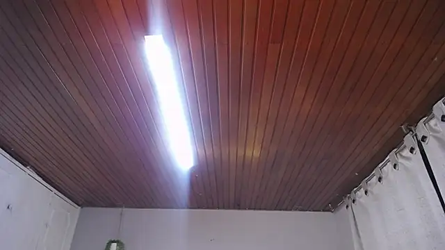 Scarllett BDSM online show from 11/29/25, 05:10