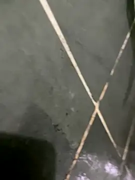 Snapshot of gzn01 chatting on 10/30/25, 07:03 gzn01 online show from 10/30/25, 07:03