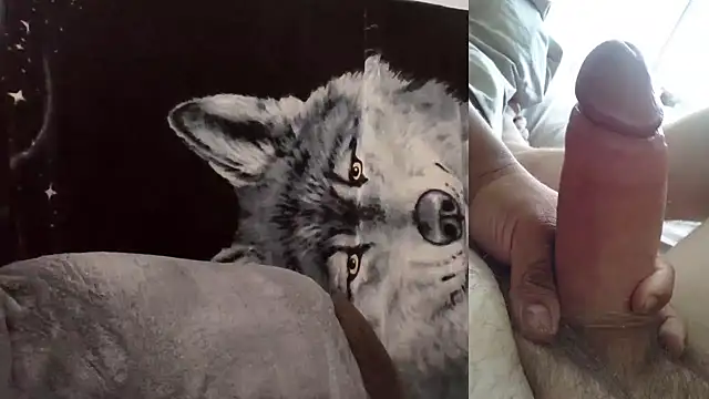 Hornychitown24 online show from 02/03/26, 08:36