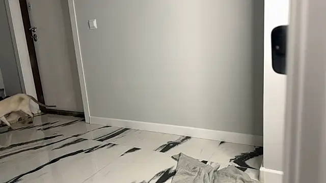 elisa moon online show from 12/23/24, 05:06