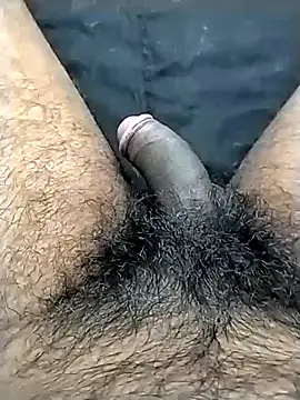 jellydicks online show from 10/23/25, 03:00