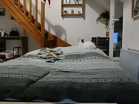 Snapshot of Lauzo21 chatting on 12/05/25, 06:33 Lauzo21 online show from 12/05/25, 06:33