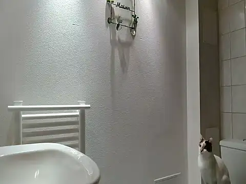 Lauzo21 online show from 03/20/26, 06:29