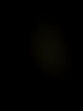 Snapshot of lixiaoshuai8 chatting on 10/13/25, 12:27 lixiaoshuai8 online show from 10/13/25, 12:27