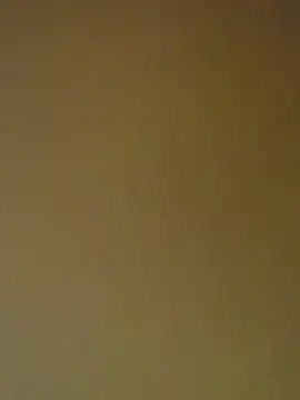 Tamilrojanew online show from 04/11/26, 05:23