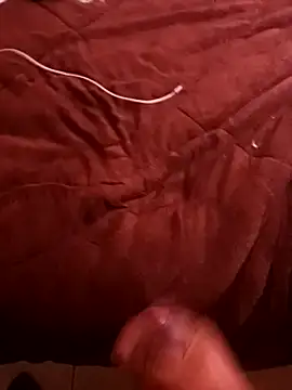 Snapshot of pedritolobito chatting on 12/17/24, 04:11 pedritolobito online show from 12/17/24, 04:11