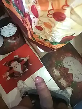 Snapshot of pedritolobito chatting on 12/26/24, 04:36 pedritolobito online show from 12/26/24, 04:36