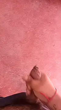 Snapshot of pedritolobito chatting on 01/15/25, 01:41 pedritolobito online show from 01/15/25, 01:41