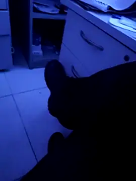 Snapshot of pedritolobito chatting on 04/11/26, 03:22 pedritolobito online show from 04/11/26, 03:22