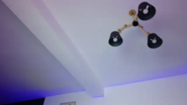 Lorennameliyy online show from 11/08/25, 07:56