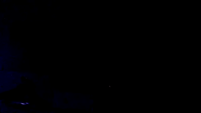 Youcunn online show from 04/15/26, 09:16