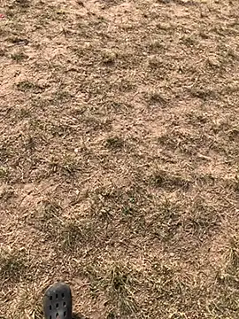 Black mamba madingo online show from 12/10/24, 03:01