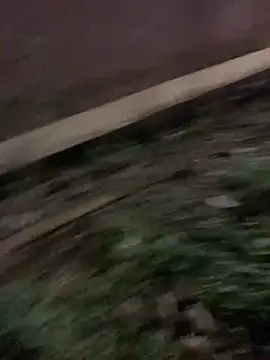 Black mamba madingo online show from 01/17/25, 06:33