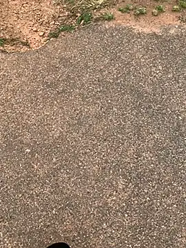 Black mamba madingo online show from 02/15/25, 12:11