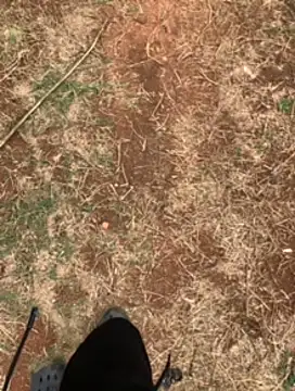 Black mamba madingo online show from 02/23/25, 01:10