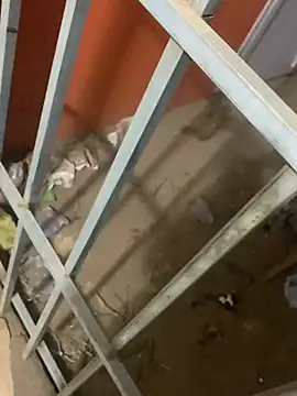 Black mamba madingo online show from 03/12/25, 04:08