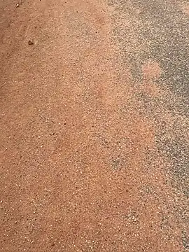 Black mamba madingo online show from 03/20/25, 07:47