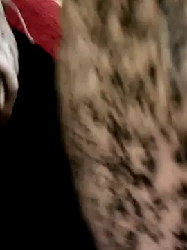 Snapshot of yasima-39 chatting on 12/15/24, 08:25 yasima-39 online show from 12/15/24, 08:25