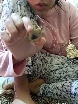 Snapshot of yasima-39 chatting on 01/26/25, 03:36 yasima-39 online show from 01/26/25, 03:36