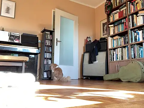 Bula94193 online show from 03/16/26, 09:13