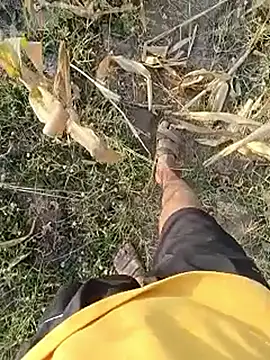 Piyush 2024 online show from 03/23/26, 02:15