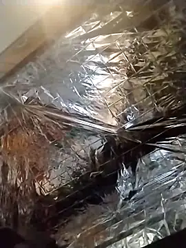 axelongshaft69 online show from 12/19/24, 01:50